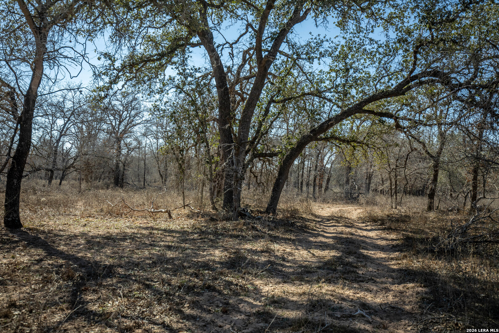 1387 County Road 304 Floresville TX 78114