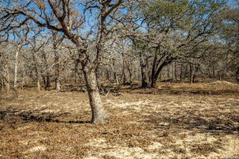 1387 County Road 304 Floresville TX 78114