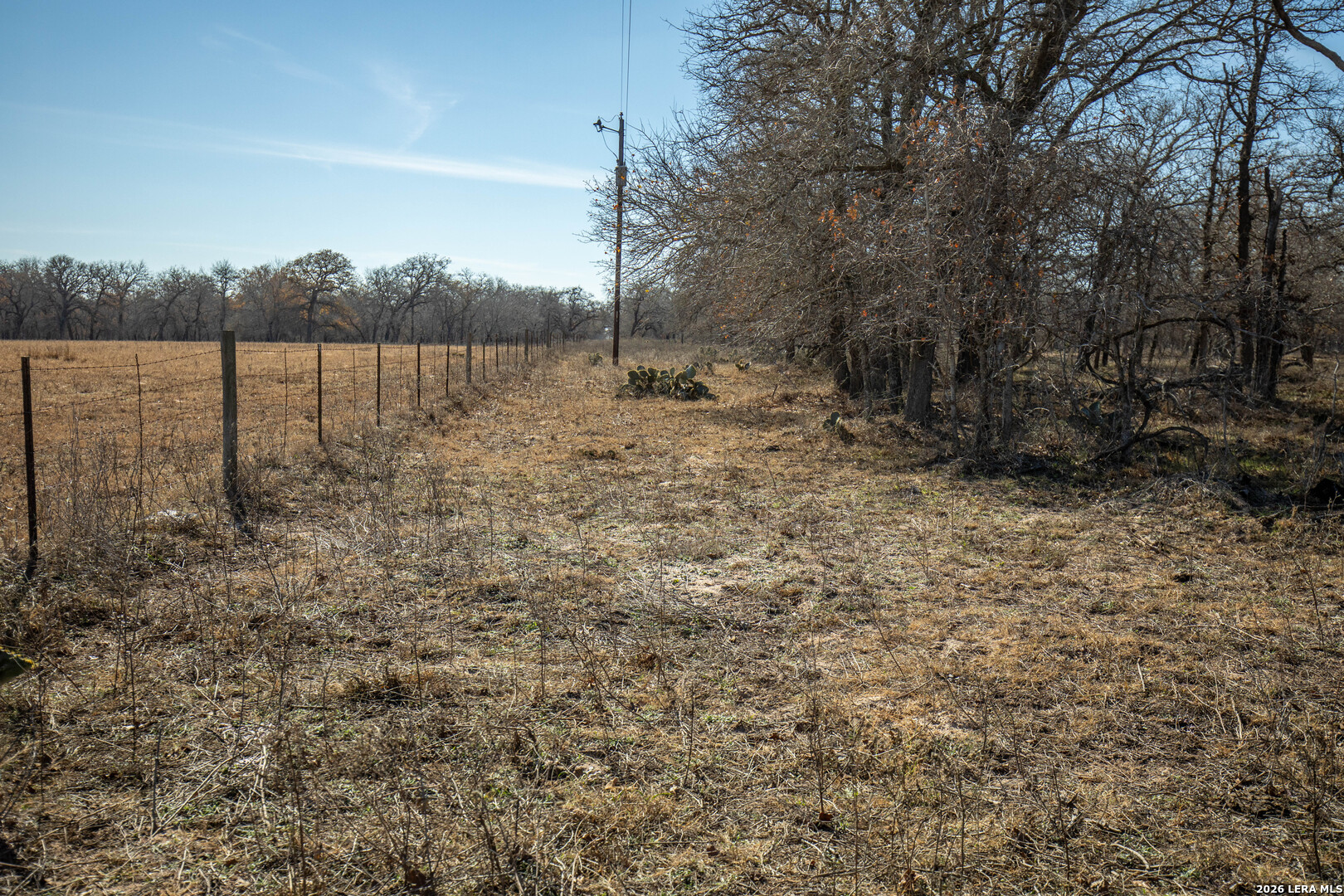 1387 County Road 304 Floresville TX 78114