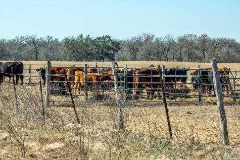 1387 County Road 304 Floresville TX 78114