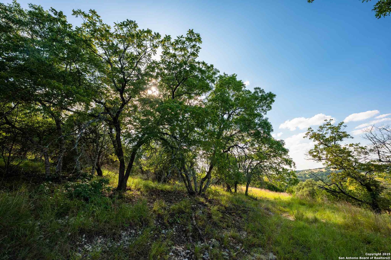 0 Fm 1888 Blanco TX 78606