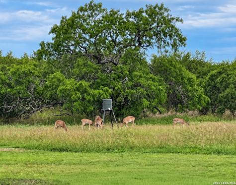 625 County Road 409 Beeville TX 78102