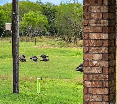 625 County Road 409 Beeville TX 78102