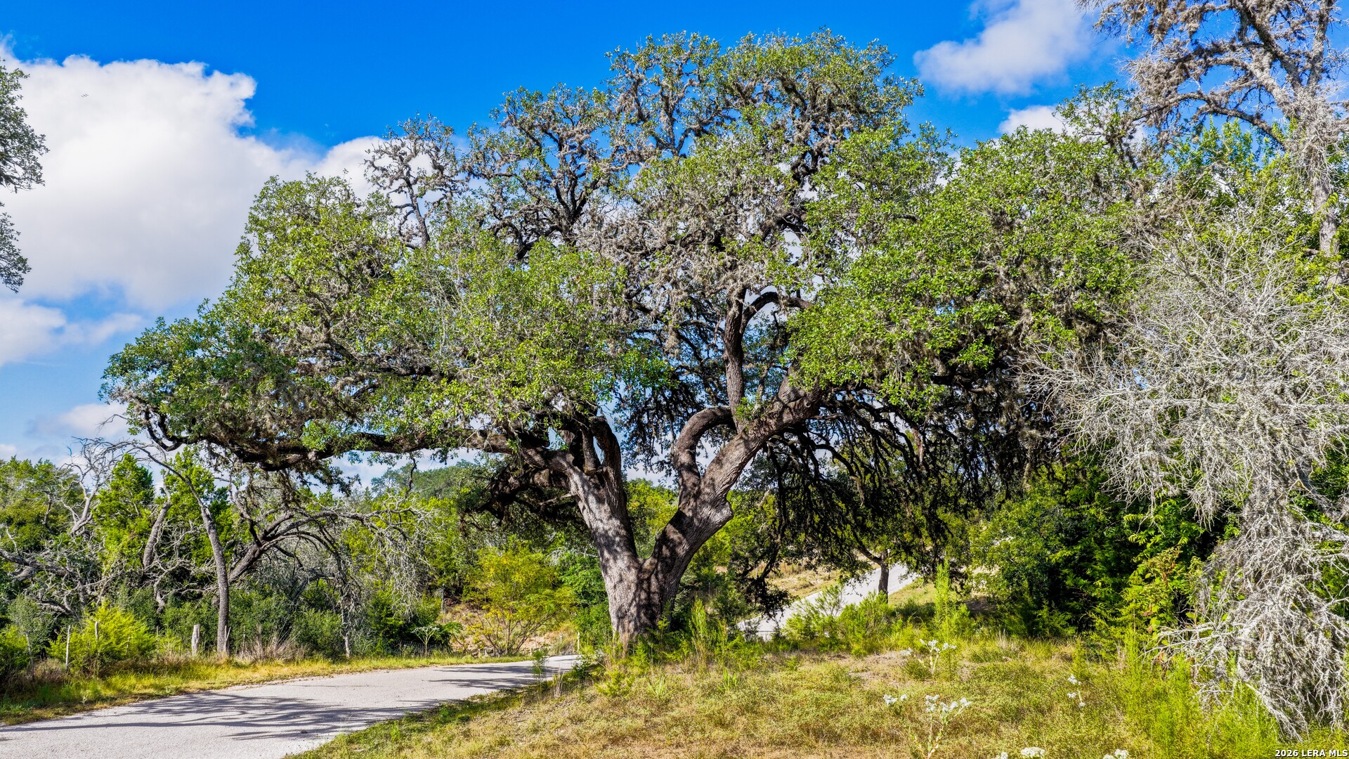 174 Upper Mason Creek Road Center Point TX 78010