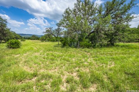 1040 Panther Hill Road Vanderpool TX 78885