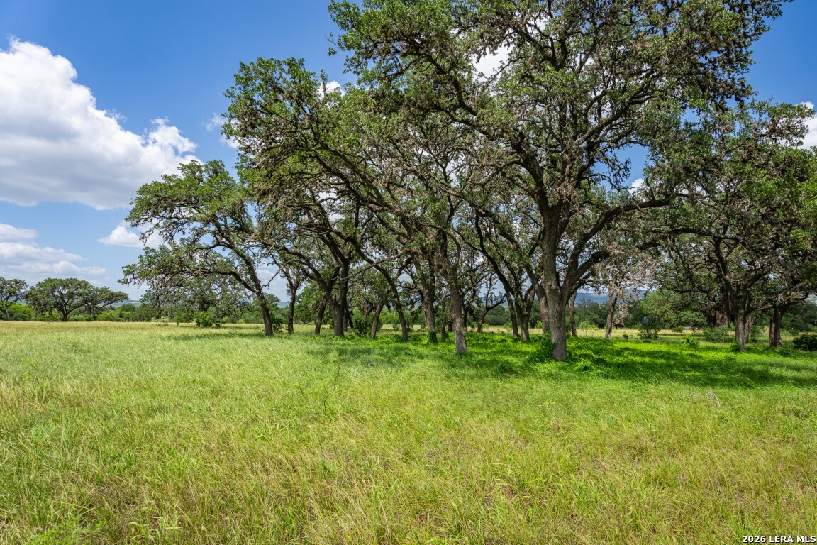 1040 Panther Hill Road Vanderpool TX 78885