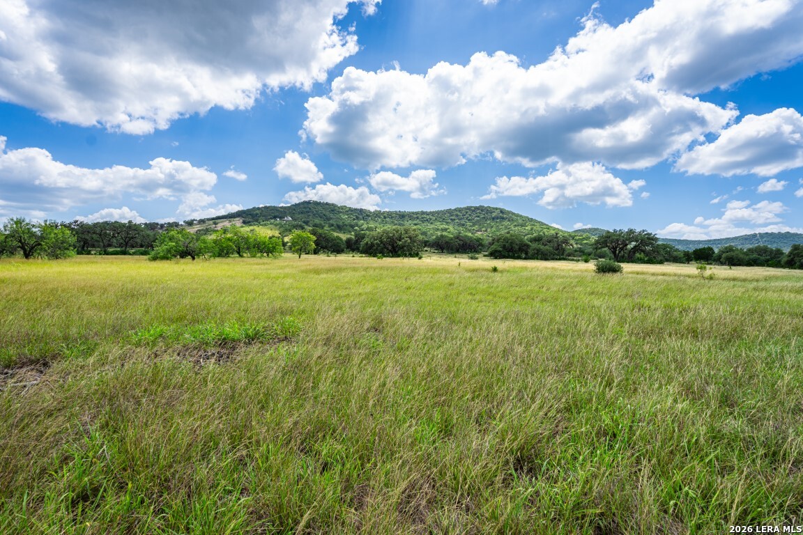 1040 Panther Hill Road Vanderpool TX 78885