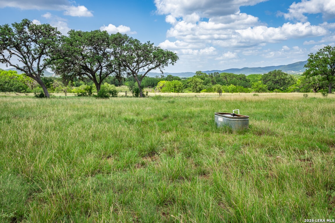 1040 Panther Hill Road Vanderpool TX 78885