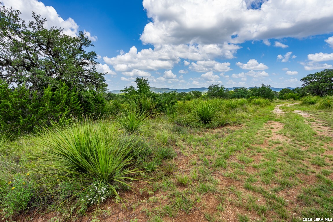 1040 Panther Hill Road Vanderpool TX 78885