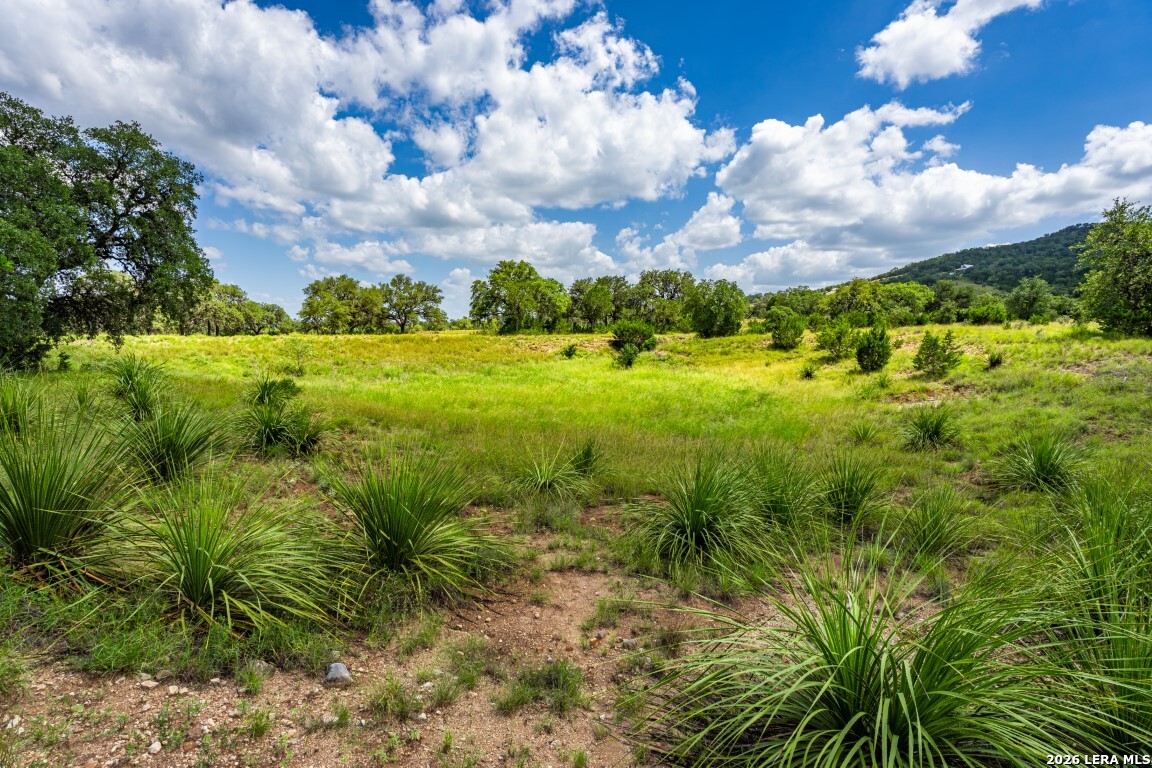 1040 Panther Hill Road Vanderpool TX 78885