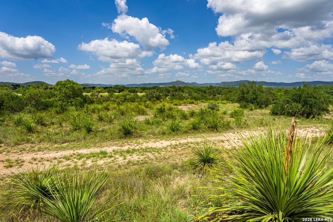 1040 Panther Hill Road Vanderpool TX 78885