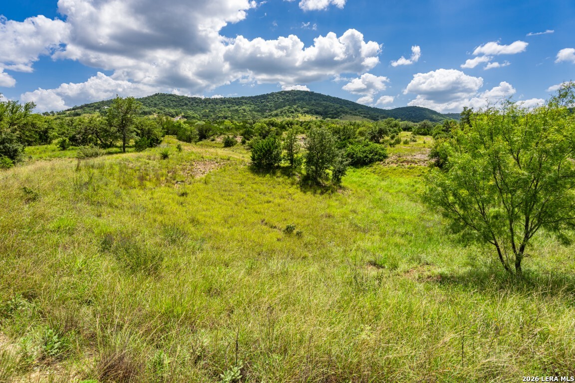 1040 Panther Hill Road Vanderpool TX 78885