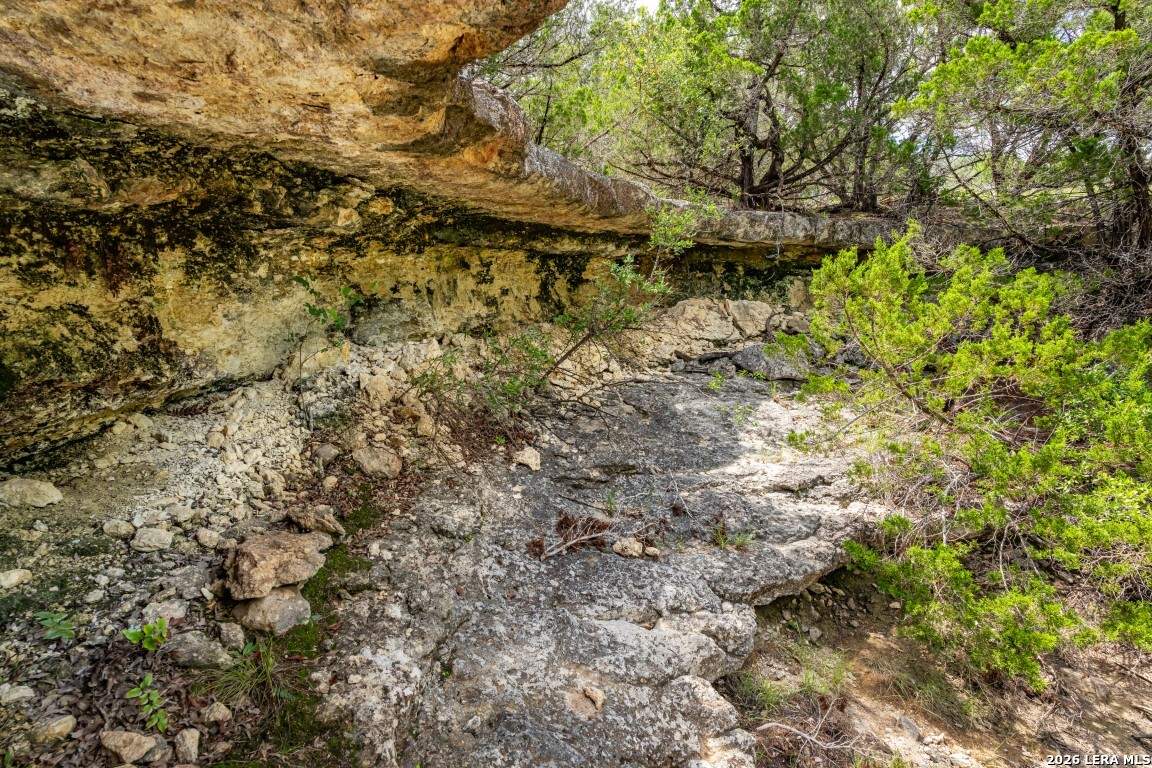 1040 Panther Hill Road Vanderpool TX 78885