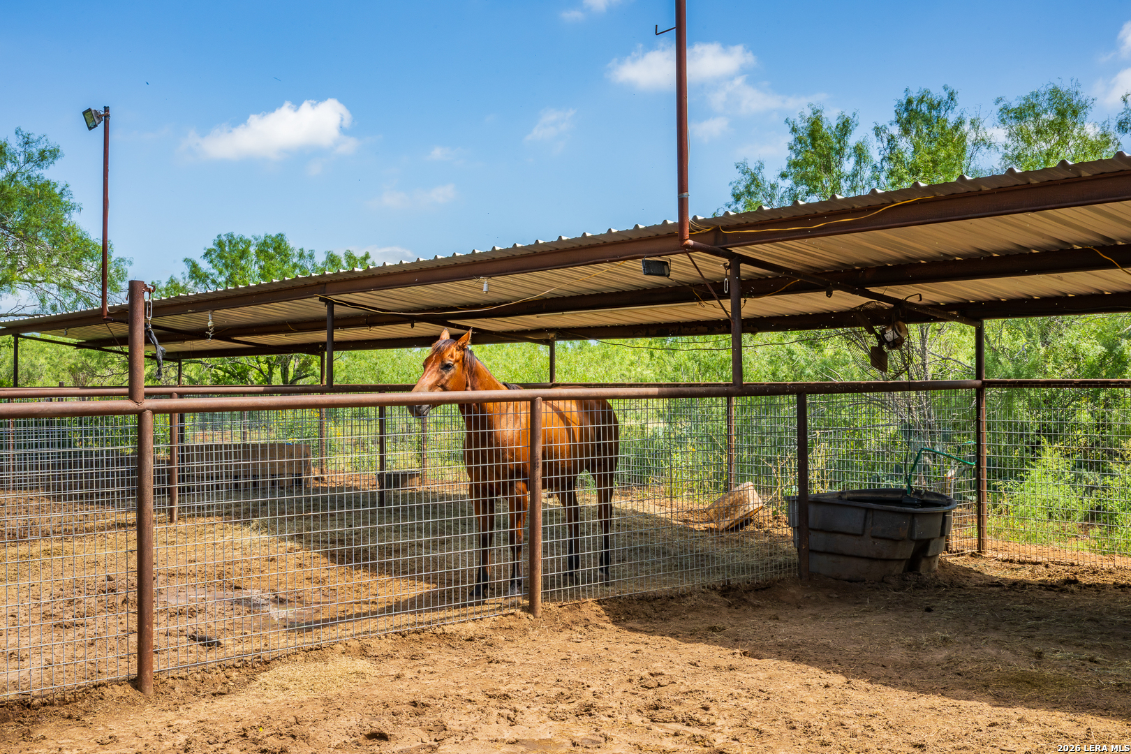 15599 E Highway 85 & Carnes Pearsall TX 78061