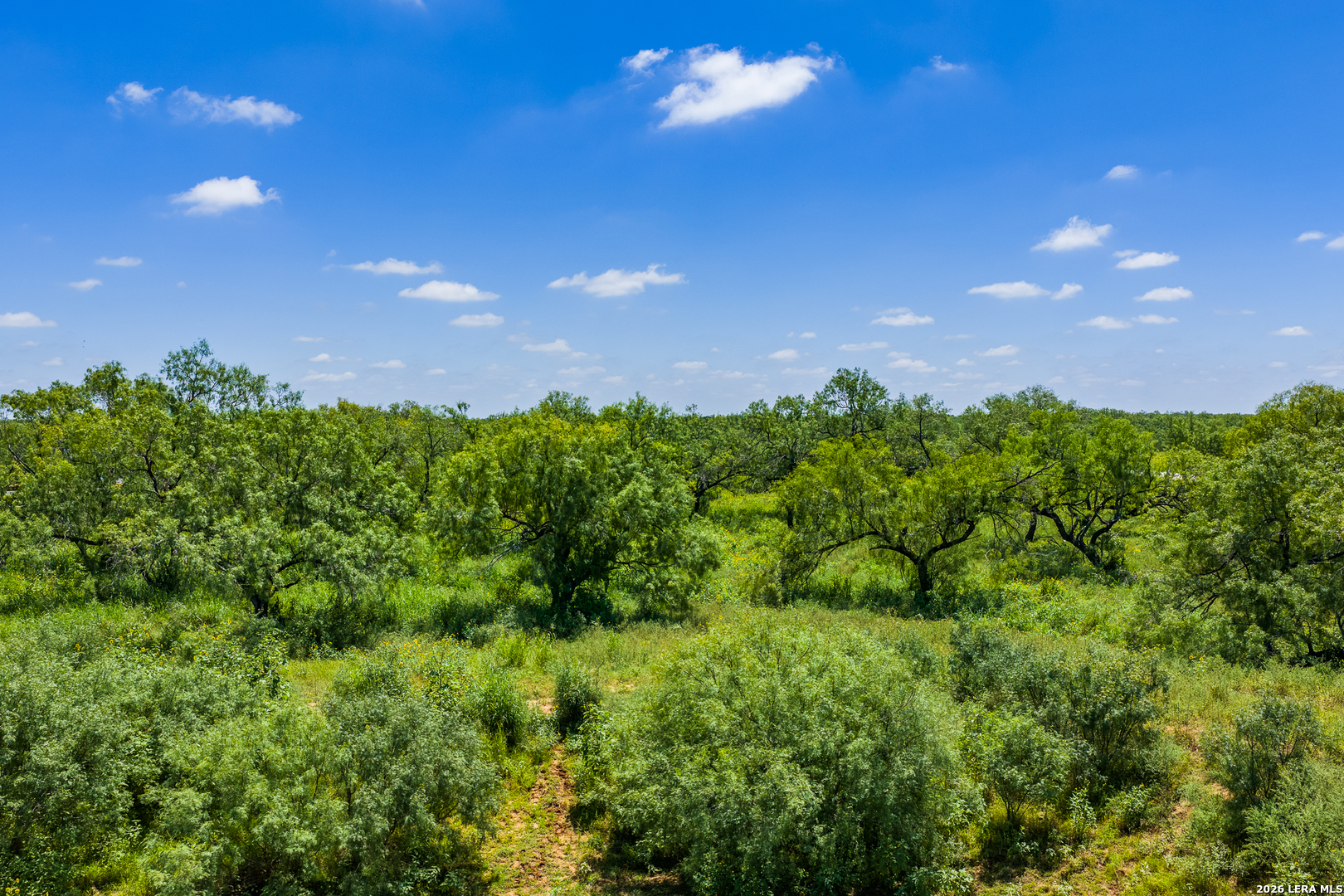 15599 E Highway 85 & Carnes Pearsall TX 78061