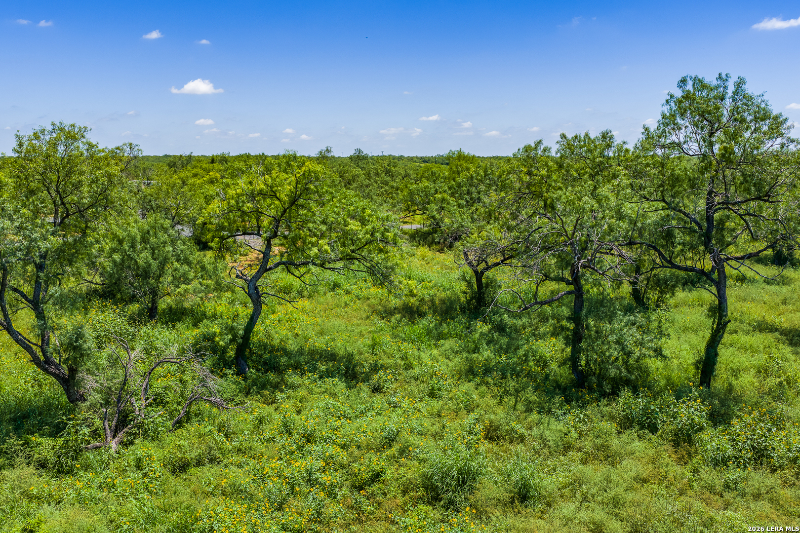 15599 E Highway 85 & Carnes Pearsall TX 78061