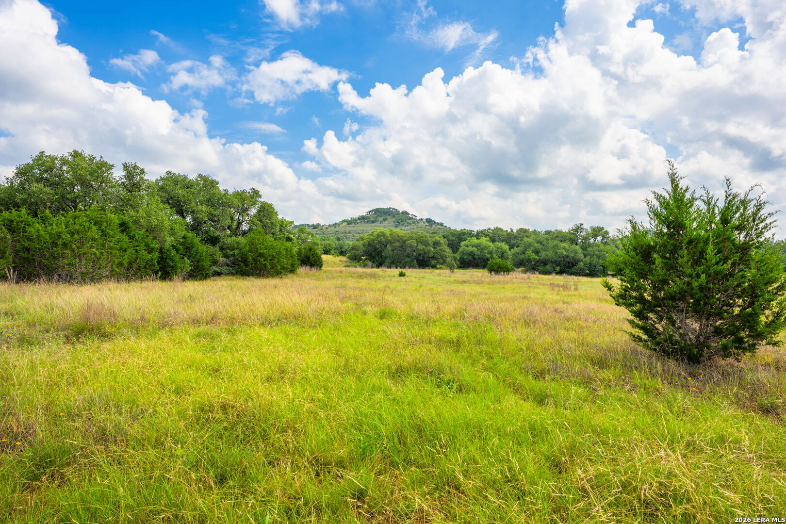 147 Gray Wolf Blanco TX 78606