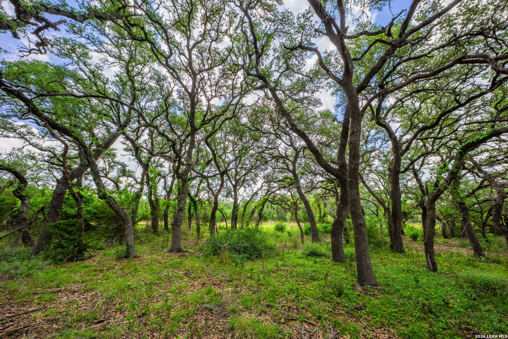 147 Gray Wolf Blanco TX 78606
