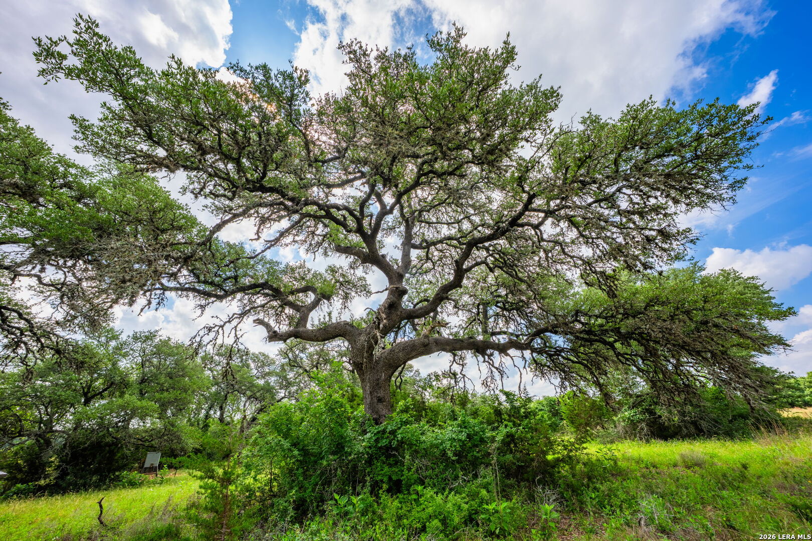 147 Gray Wolf Blanco TX 78606