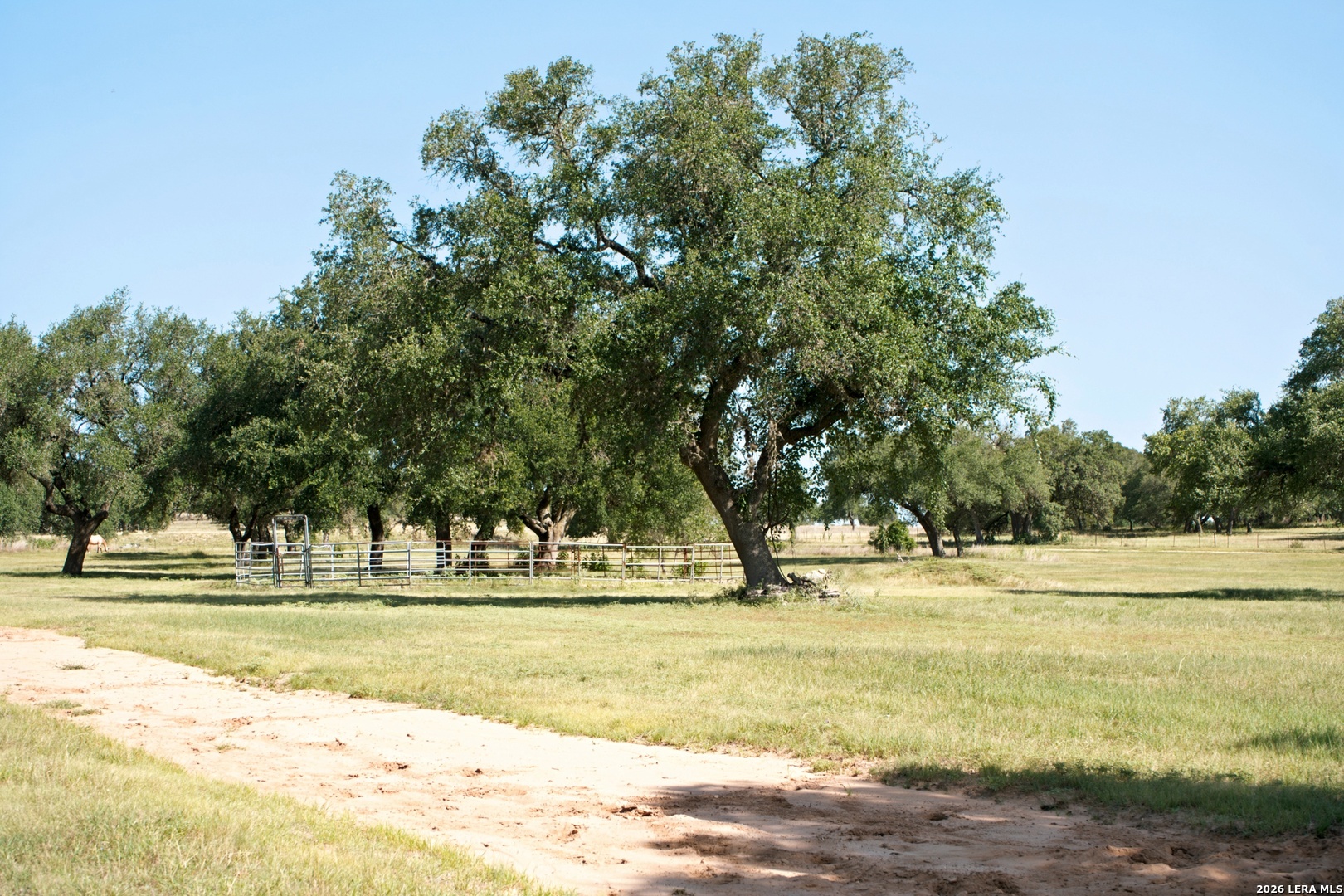 1282 Kendalia Road Blanco TX 78606