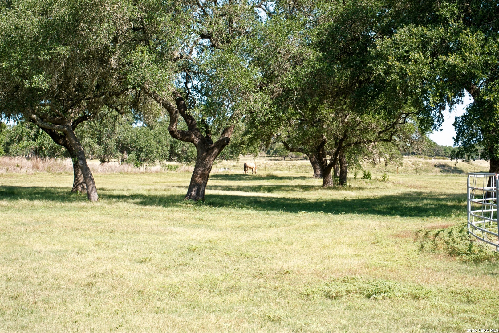 1282 Kendalia Road Blanco TX 78606