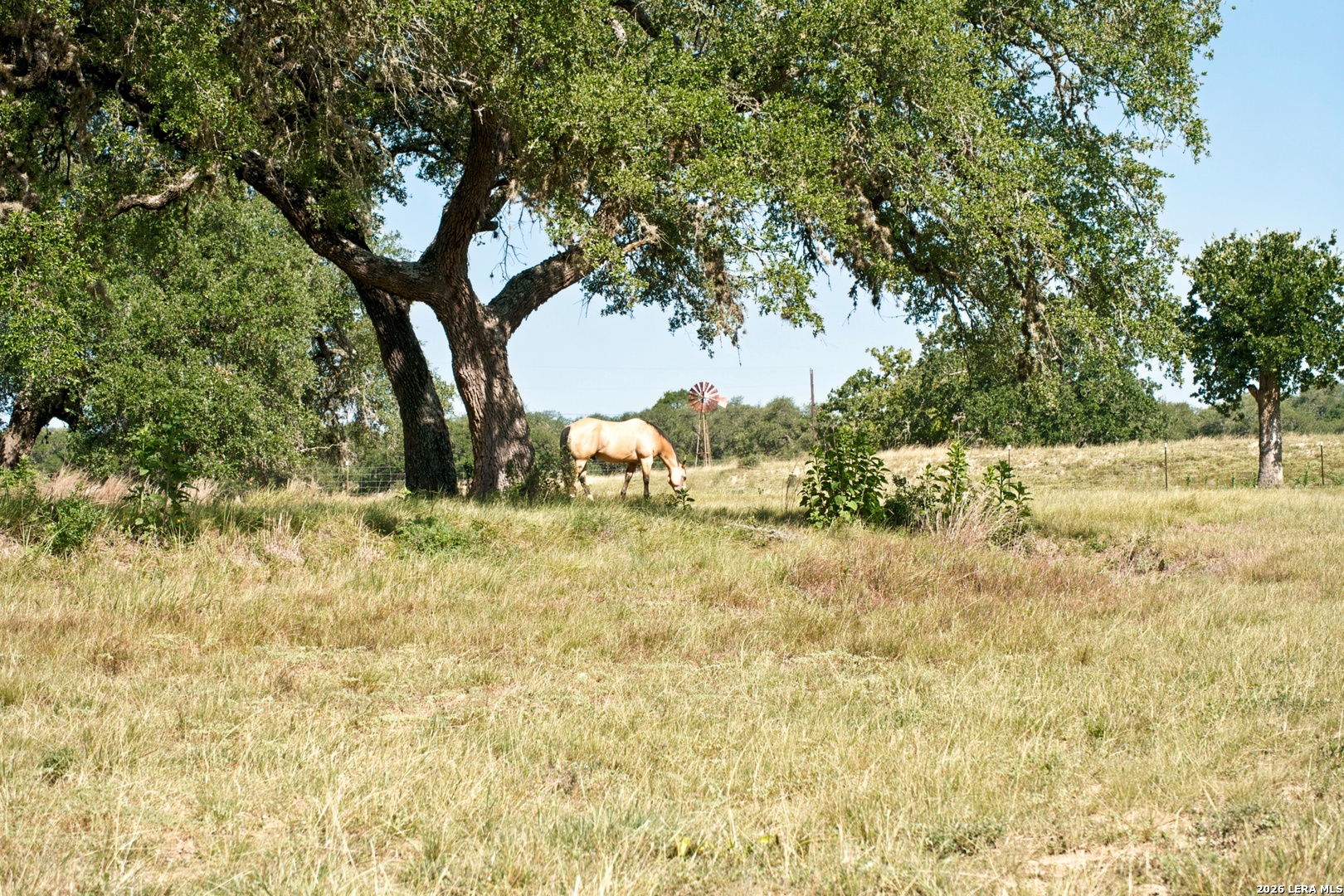 1282 Kendalia Road Blanco TX 78606