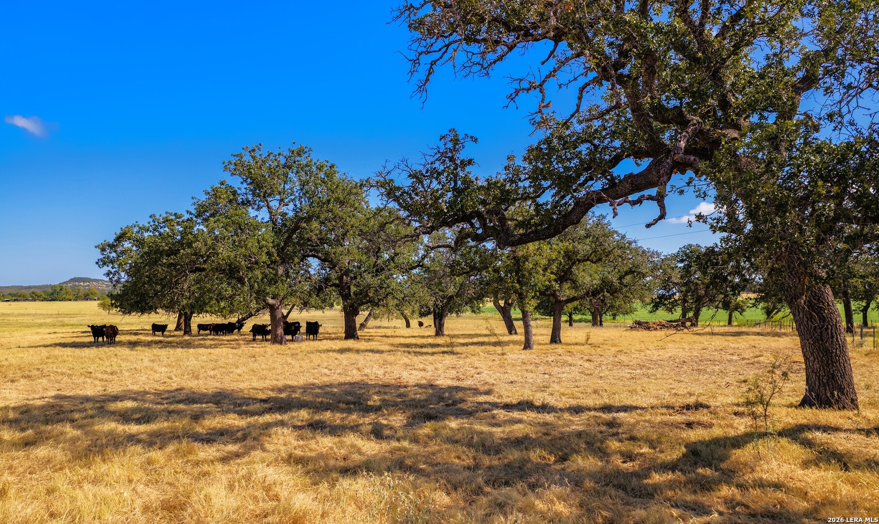 1529 Goehmann Lane Fredericksburg TX 78624
