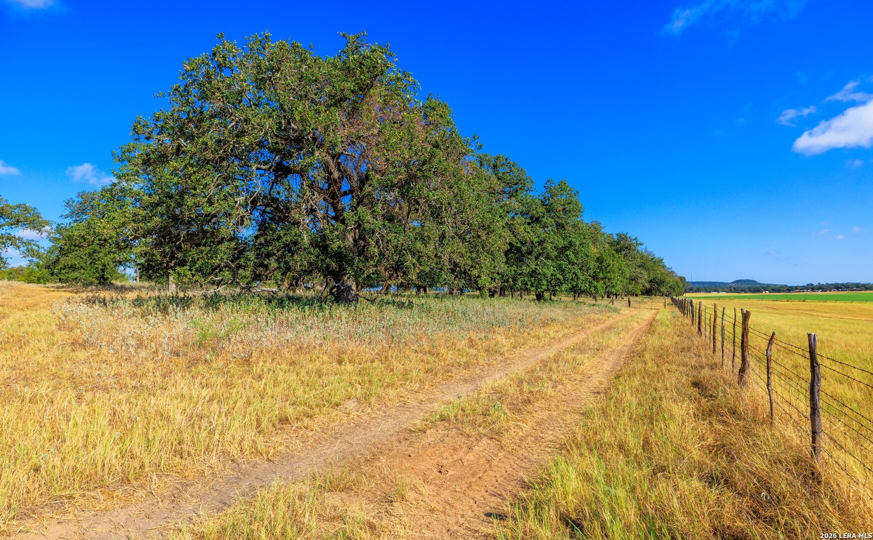 1529 Goehmann Lane Fredericksburg TX 78624