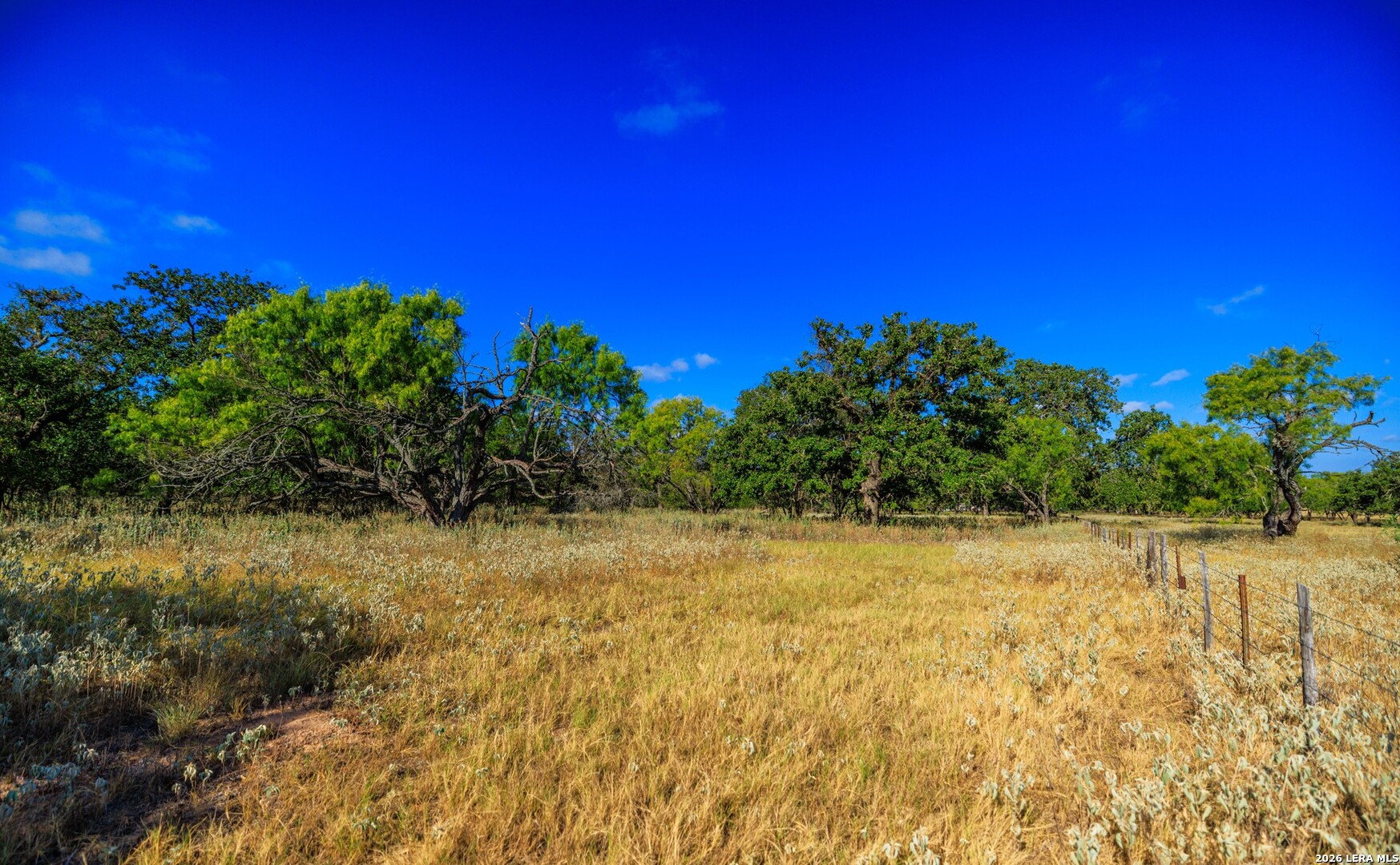 1529 Goehmann Lane Fredericksburg TX 78624