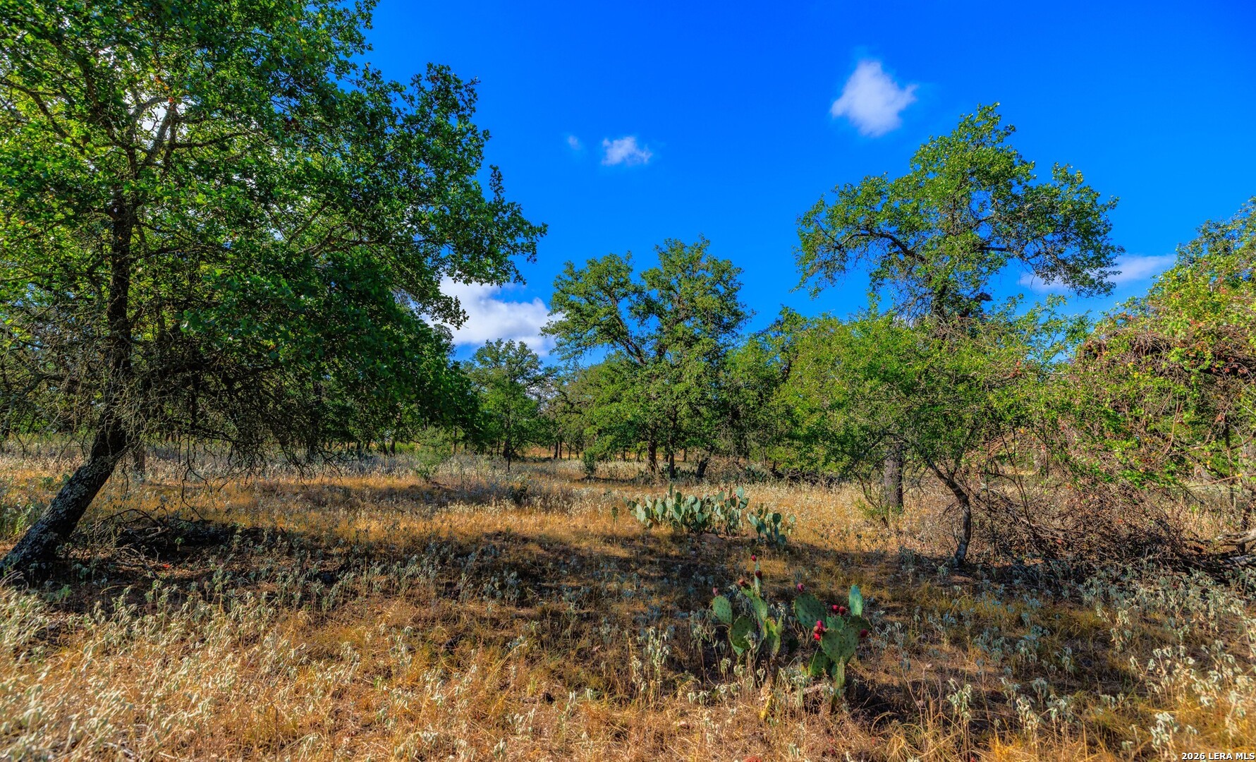 1529 Goehmann Lane Fredericksburg TX 78624