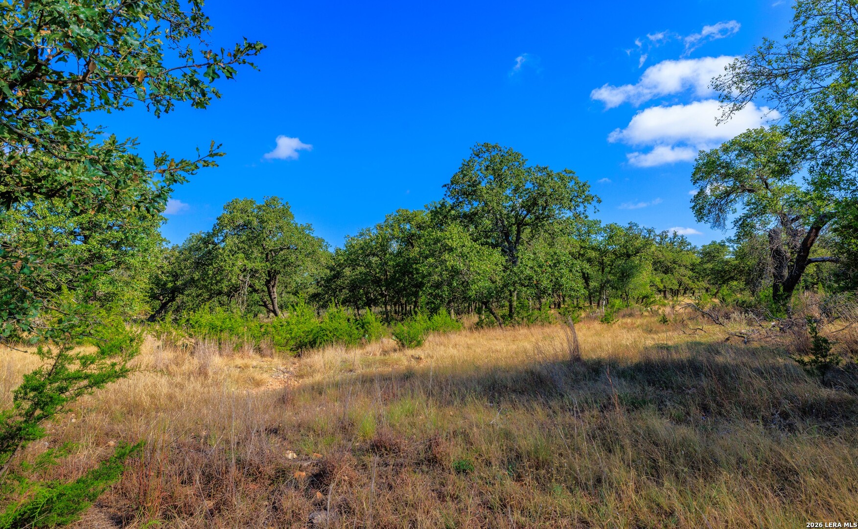 1529 Goehmann Lane Fredericksburg TX 78624