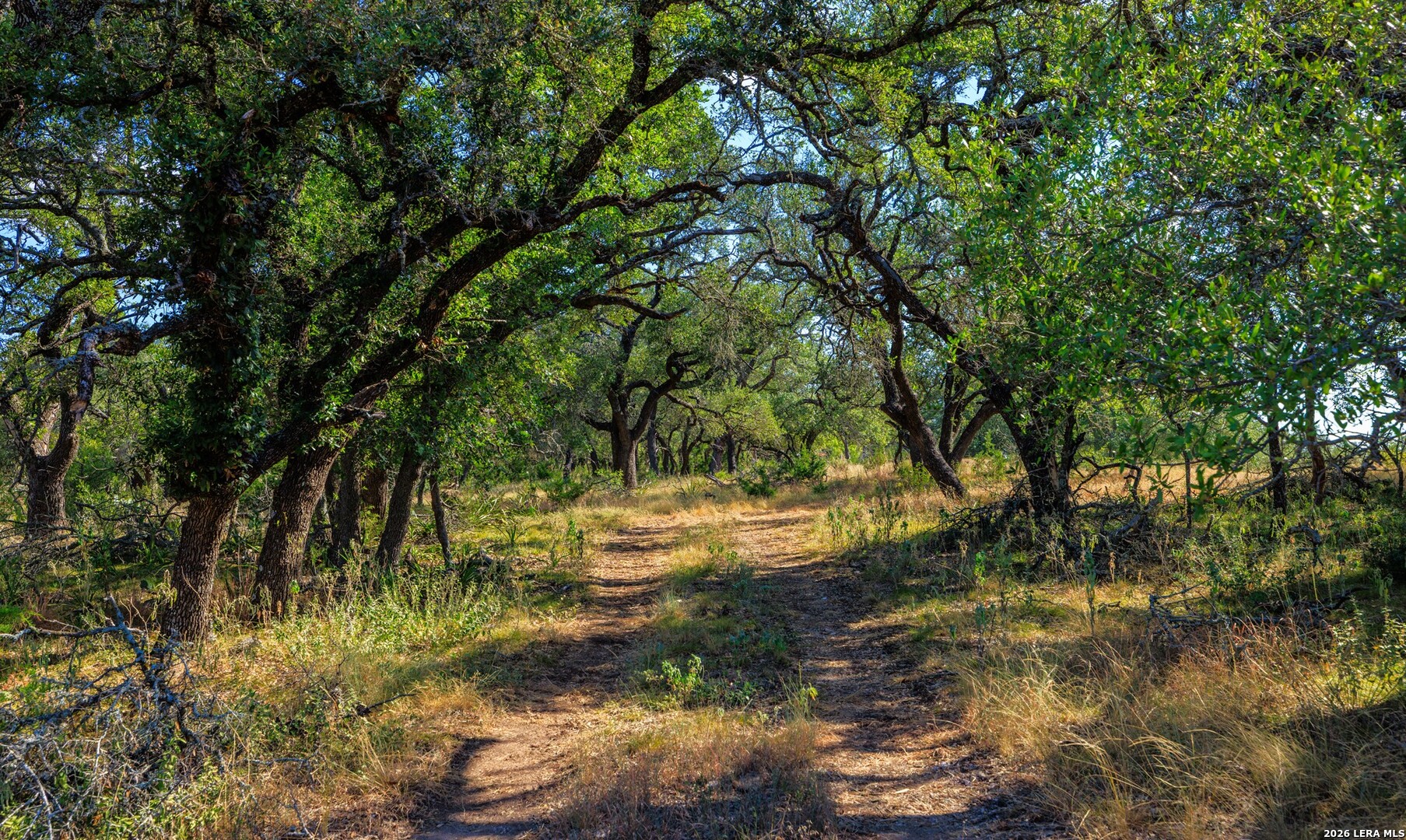 1529 Goehmann Lane Fredericksburg TX 78624