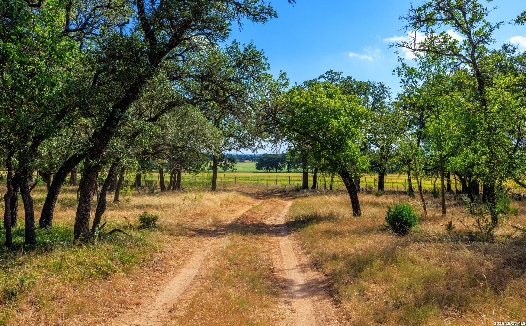 1529 Goehmann Lane Fredericksburg TX 78624