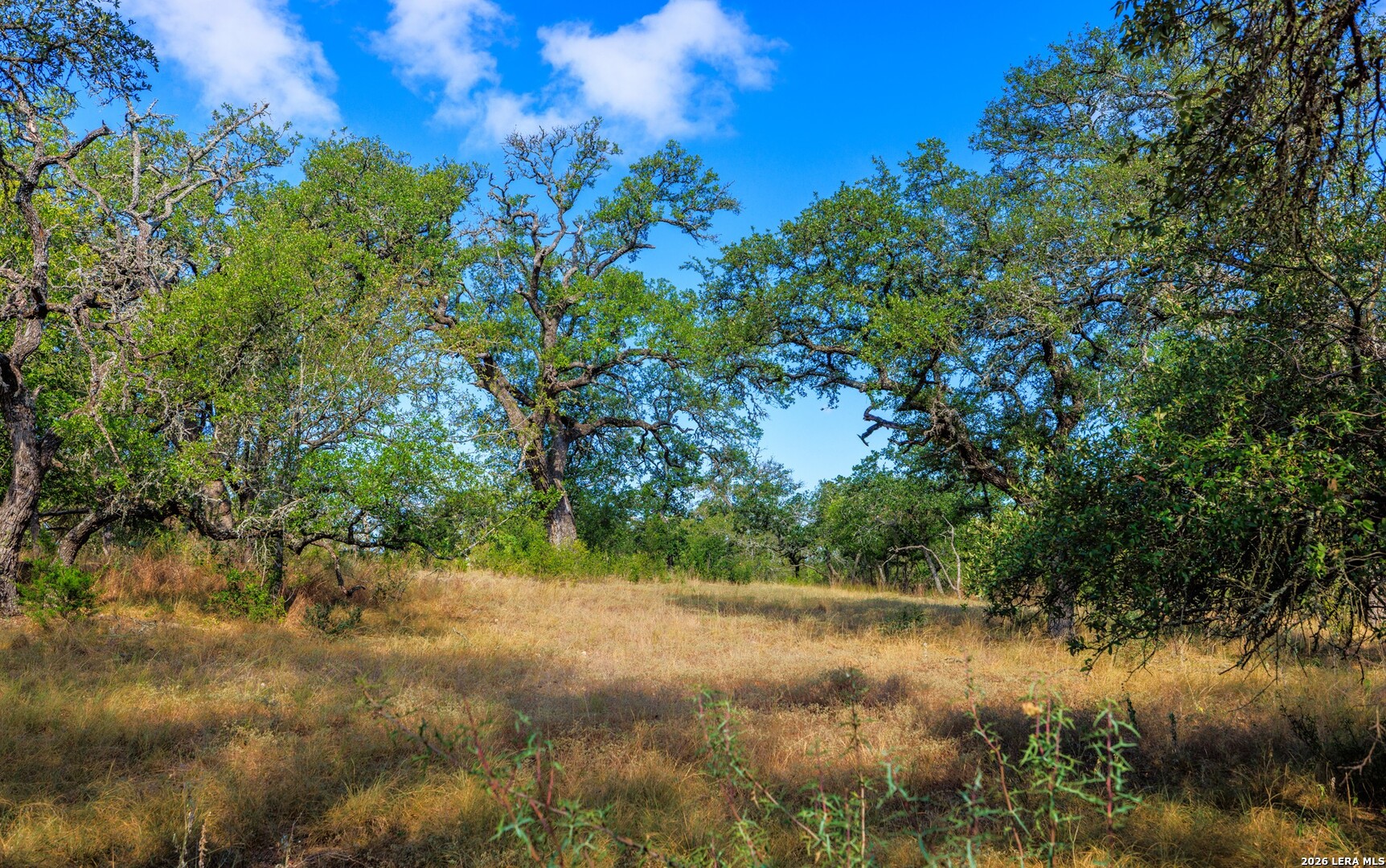 1529 Goehmann Lane Fredericksburg TX 78624