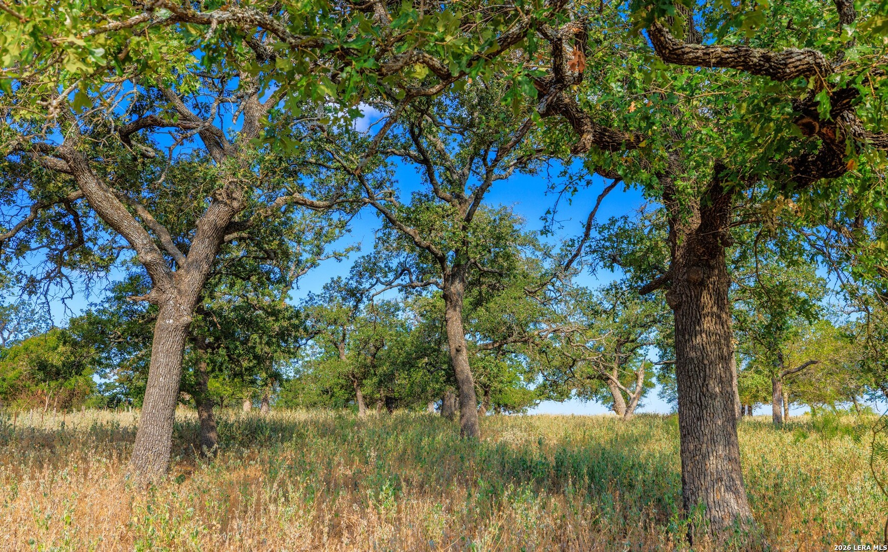1529 Goehmann Lane Fredericksburg TX 78624