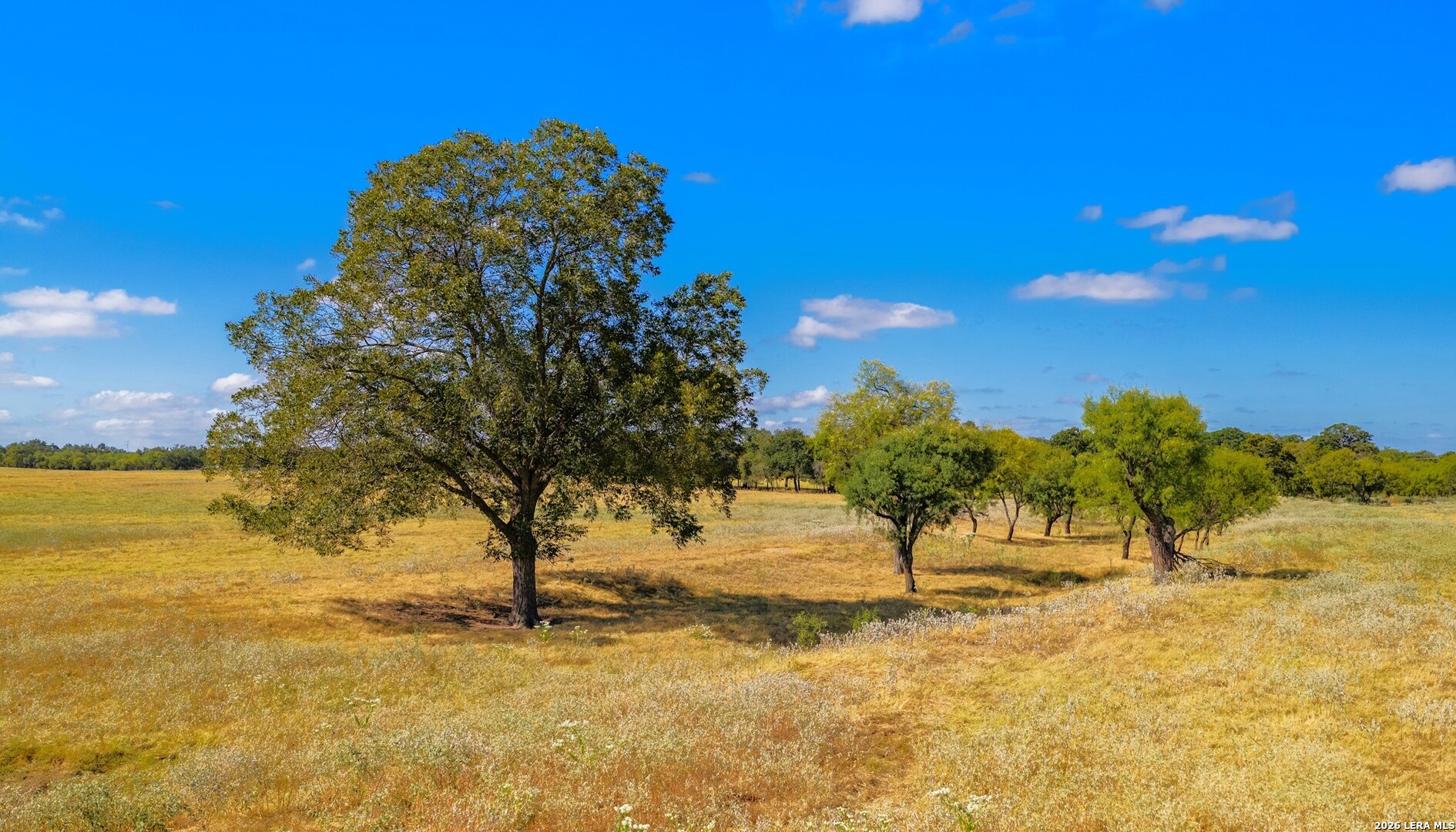 1529 Goehmann Lane Fredericksburg TX 78624