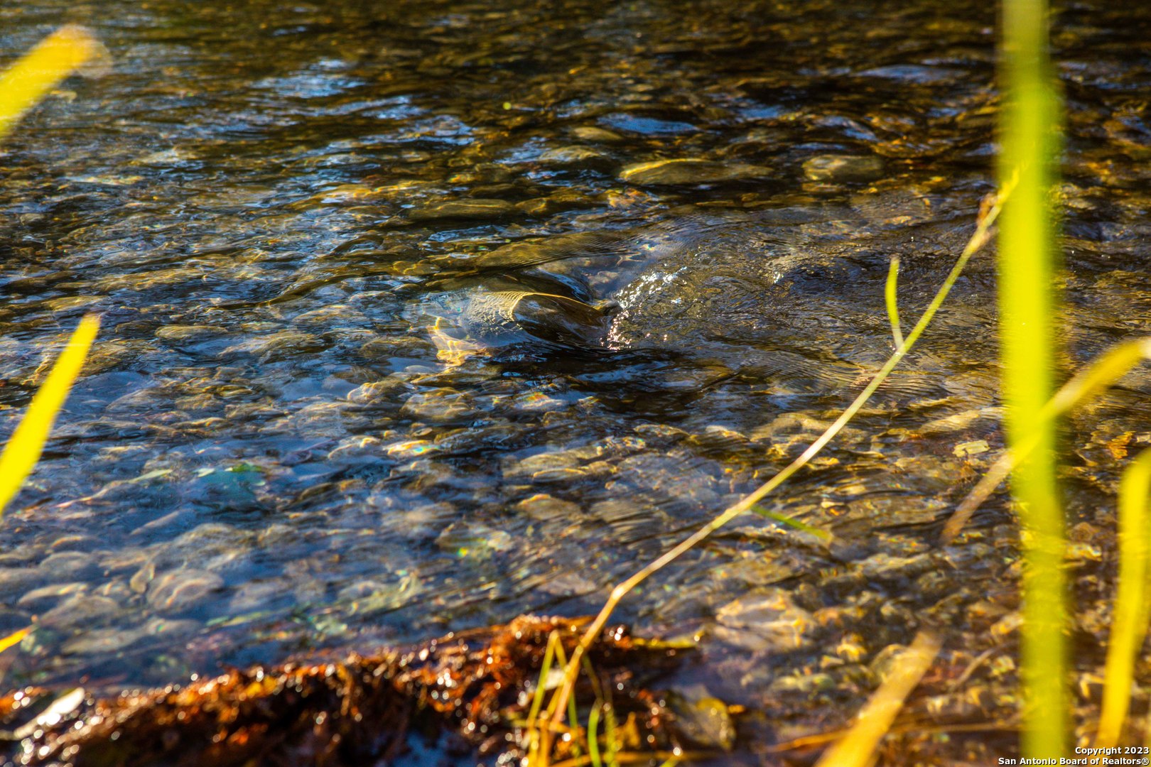 46 Fm 1621 Comfort TX 78013