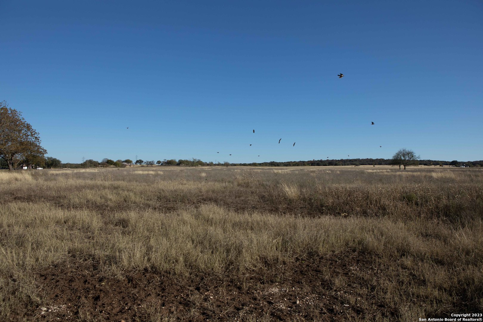 46 Fm 1621 Comfort TX 78013