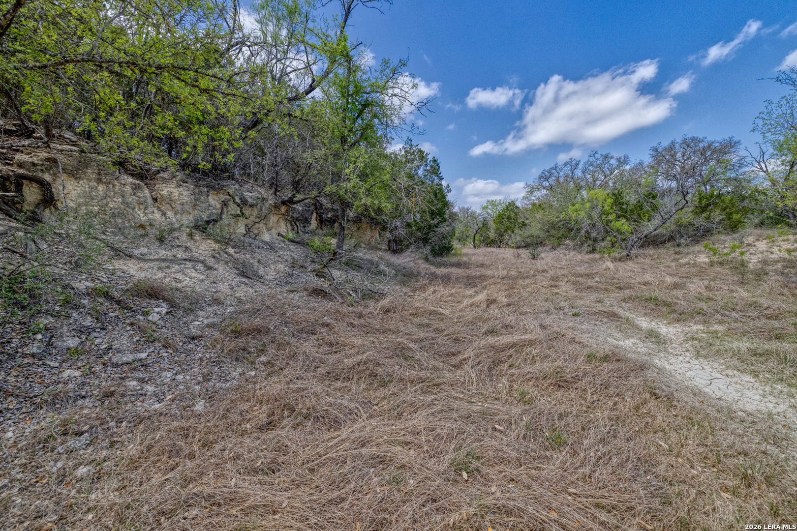 Tbd Farm To Market 1796 Dhanis TX 78860