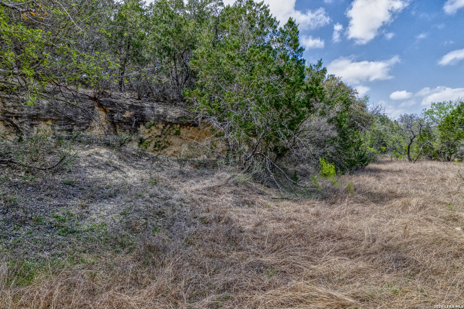 Tbd Farm To Market 1796 Dhanis TX 78860