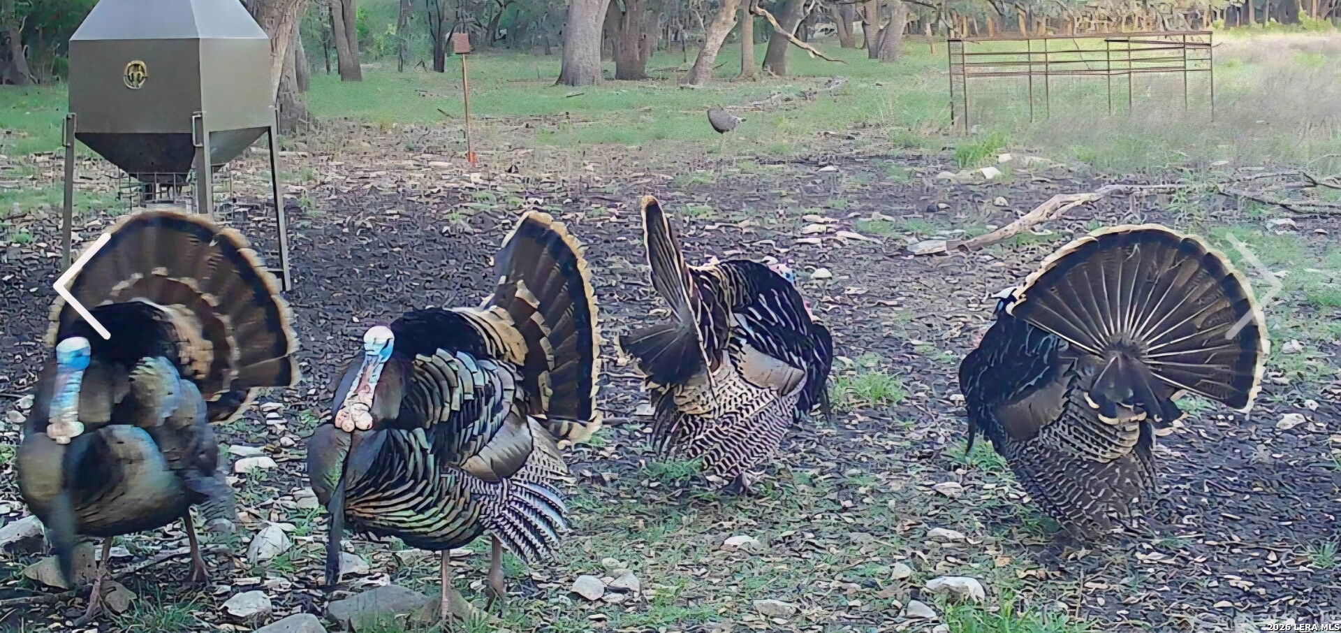 Tbd Farm To Market 1796 Dhanis TX 78860