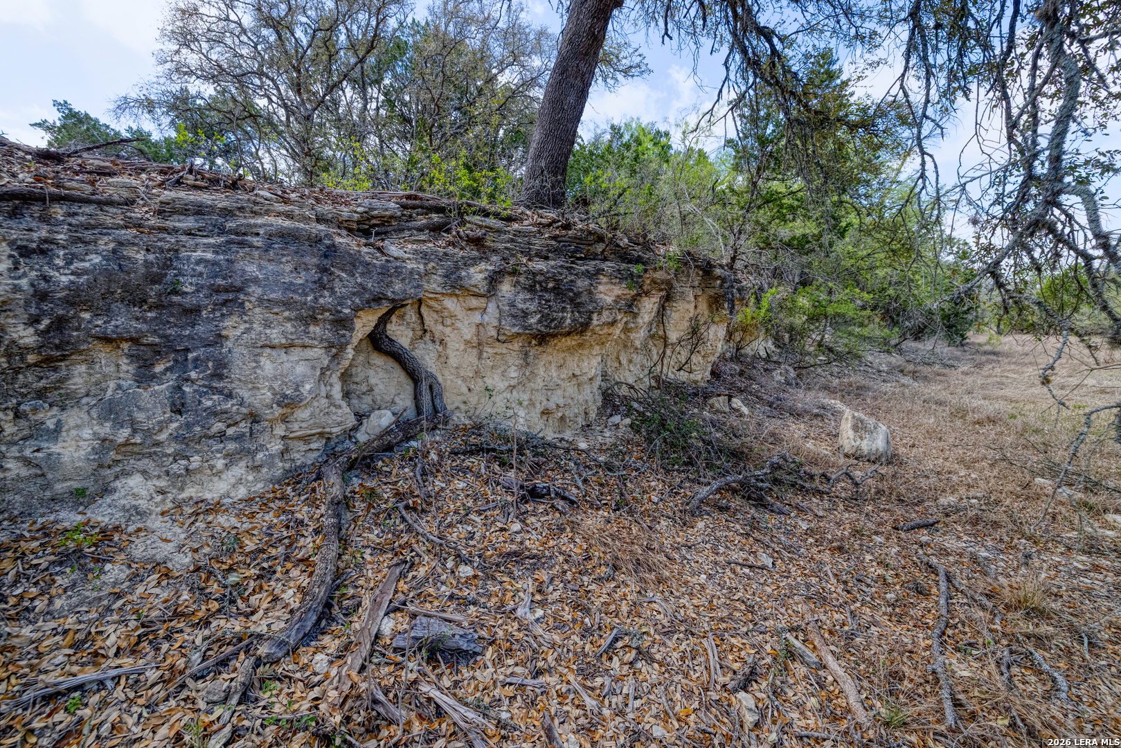 Tbd Farm To Market 1796 Dhanis TX 78860