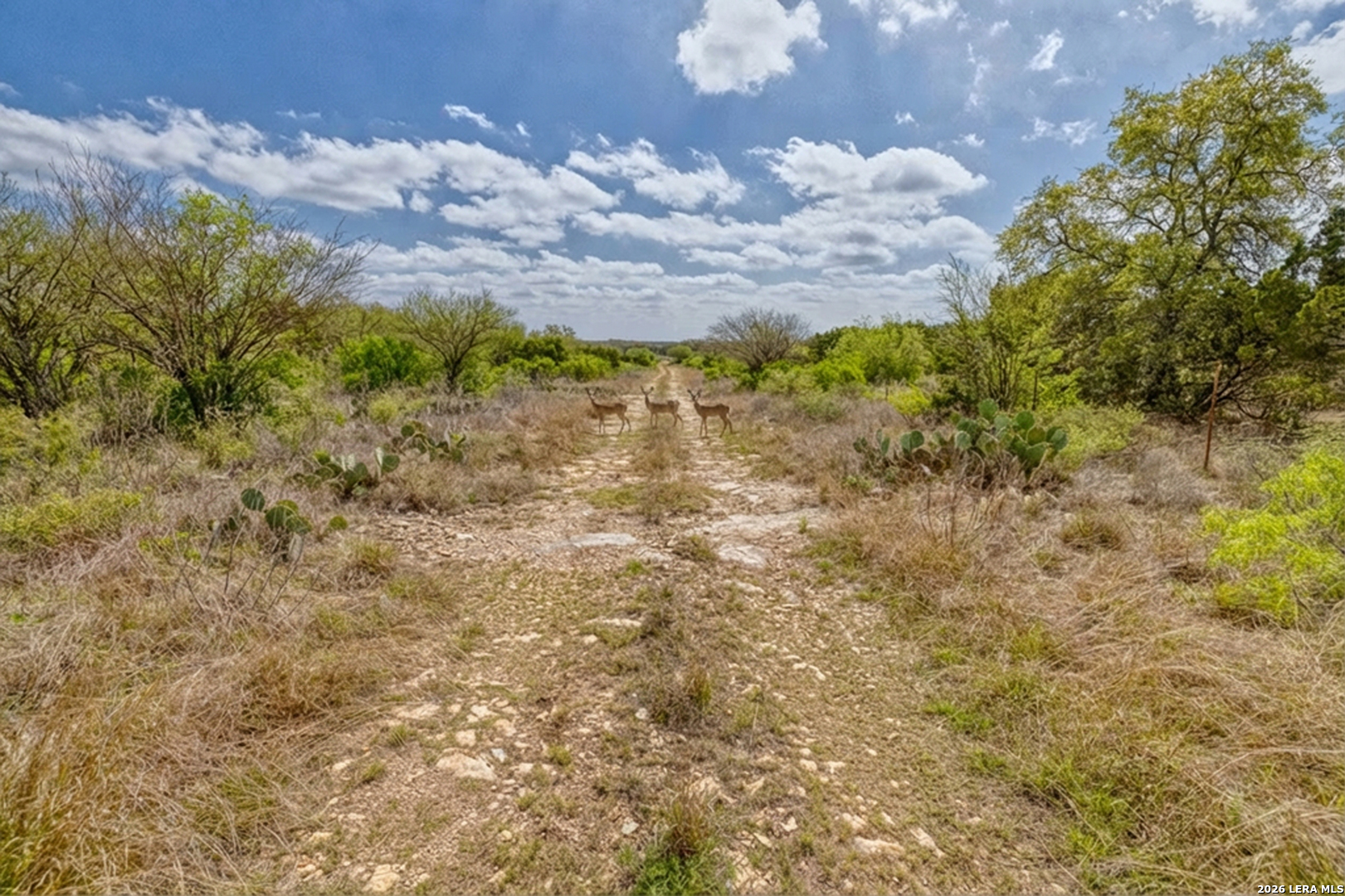 Tbd Farm To Market 1796 Dhanis TX 78860