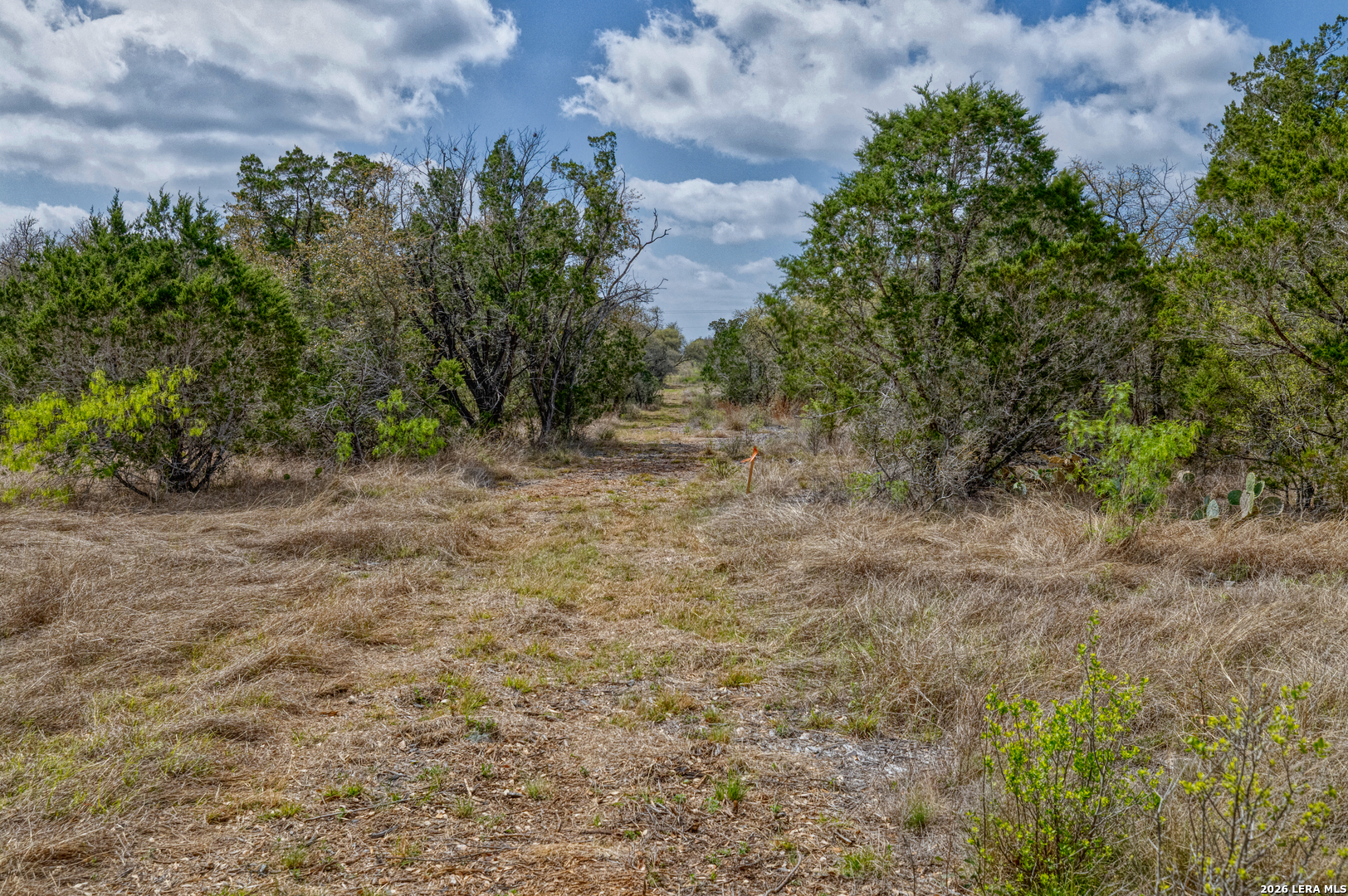 Tbd Farm To Market 1796 Dhanis TX 78860