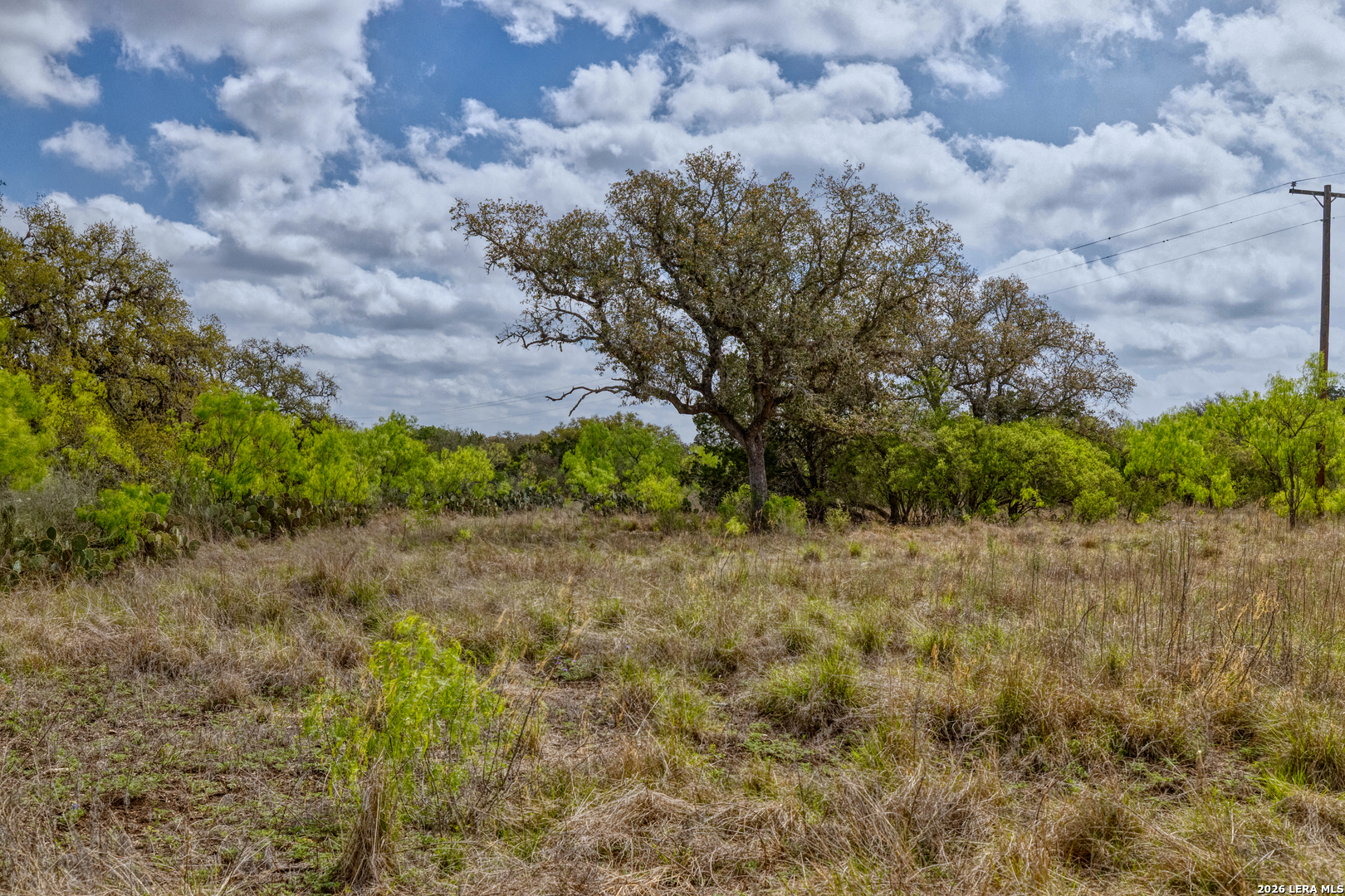 Tbd Farm To Market 1796 Dhanis TX 78860