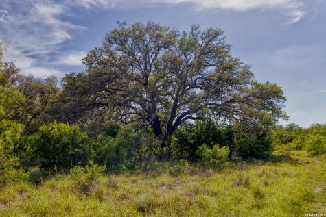 Tbd Farm To Market 1796 Dhanis TX 78860
