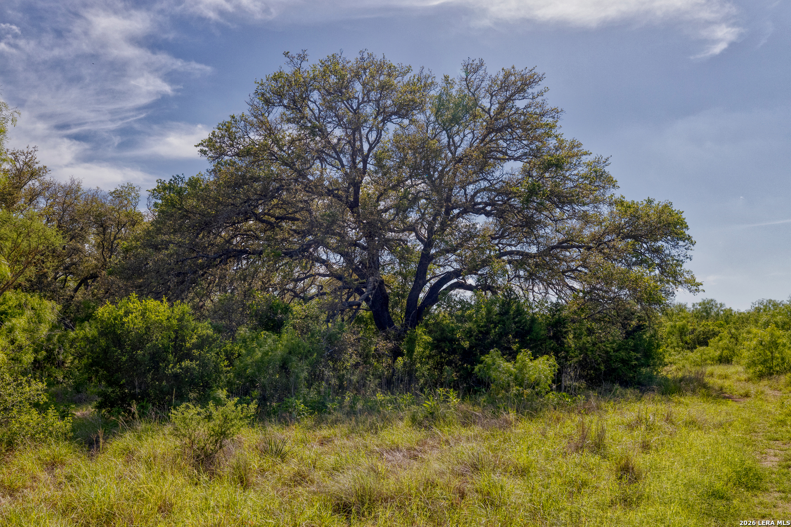 Tbd Farm To Market 1796 Dhanis TX 78860
