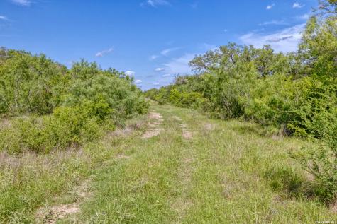 Tbd Farm To Market 1796 Dhanis TX 78860