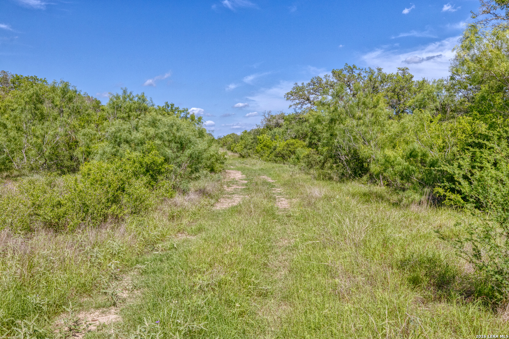 Tbd Farm To Market 1796 Dhanis TX 78860