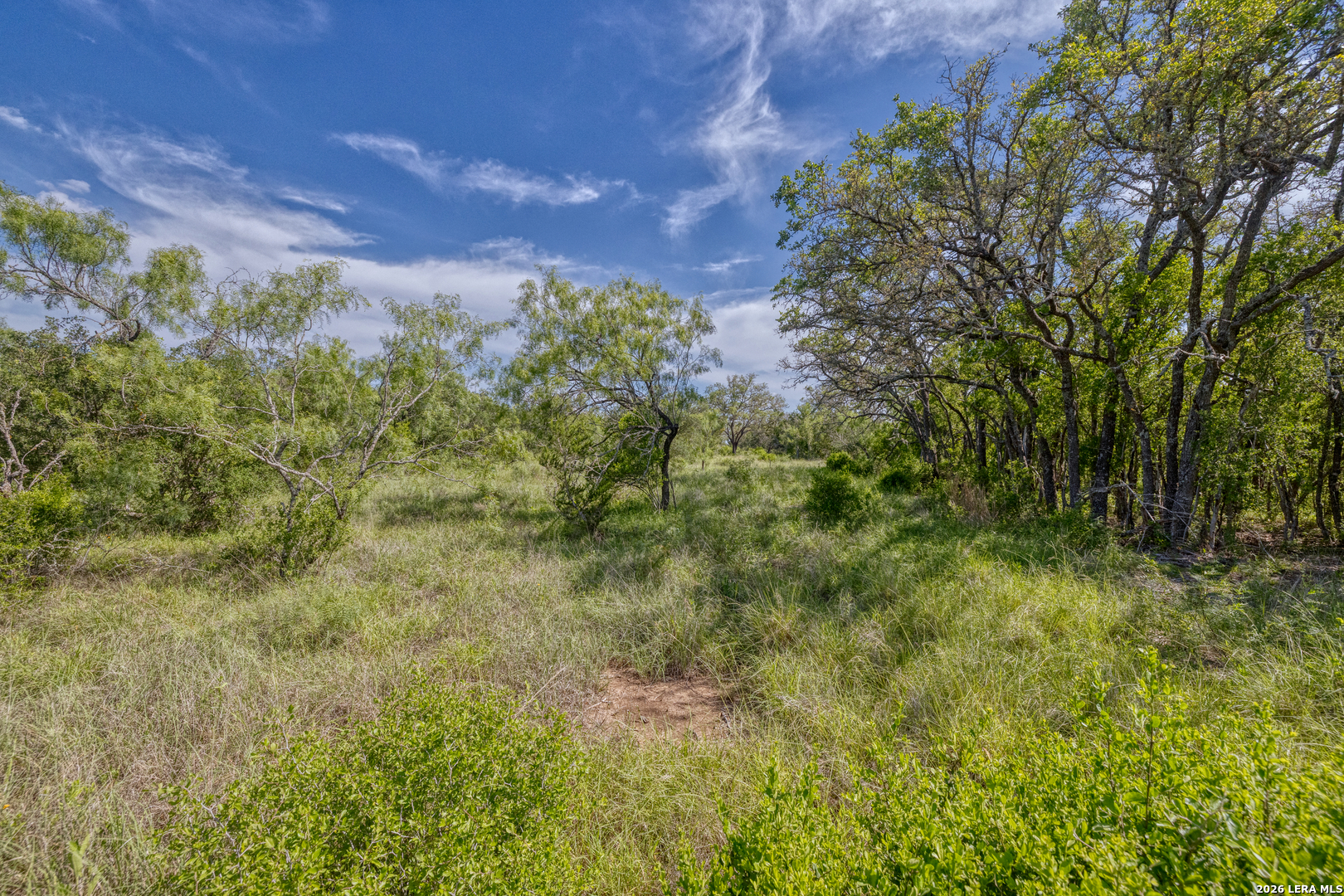 Tbd Farm To Market 1796 Dhanis TX 78860